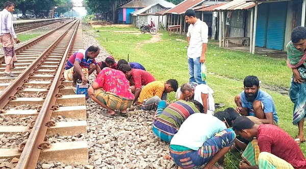 গাঁজা কুড়াতে জনগনের উপচে পরা ভীড়!