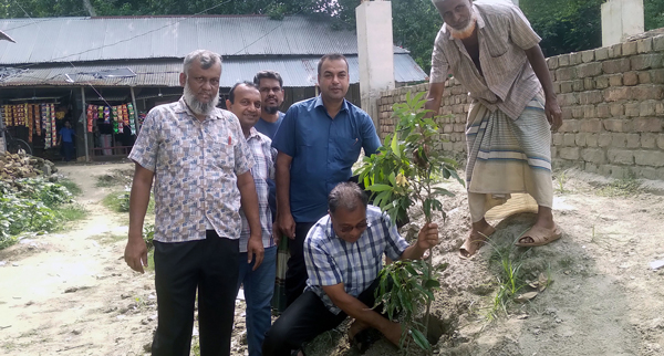 মধুখালীতে রাশিদা নবী উচ্চ বিদ্যালয়ের বৃক্ষ রোপন