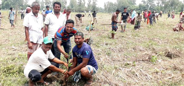 বিরলে জবরদখলকারীদের নিকট হতে প্রায় ৩০ একর বনভূমি পূণরায় উদ্ধারপূর্বক বনায়ন সৃজন