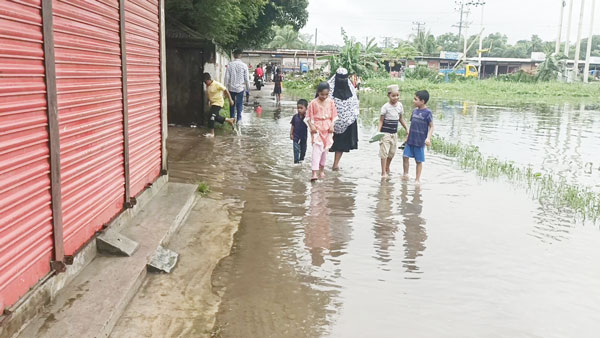 সেনবাগে টানা বর্ষণ ১৭০ স্কুল,কলেজ মাদরাসা দুই দিনের ছুটি