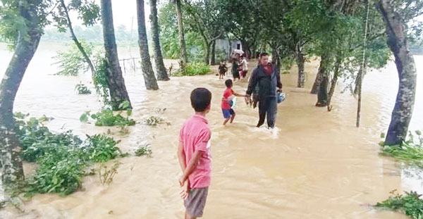 সেনবাগে ভয়াবহ বন্যায়, সাড়ে তিন লাখমানুষ পানি বন্দী পানিতে ডুবে শিশুর মৃত্যু