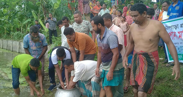 ফুলবাড়ী উপজেলার চাঁদপাড়া জলাশয়ে পোনা মাছ অবমুক্তকরণ