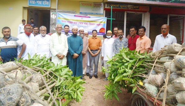 সাঁথিয়া ফাউন্ডেশনের উদ্যোগে ফলদ গাছের চারা বিতরণ