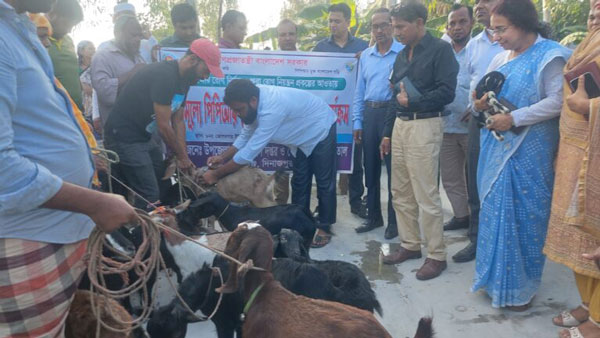 বীরগঞ্জে বিনামূল্যে পিপিআর রোগের গণটিকা প্রদান কর্মসূচী 