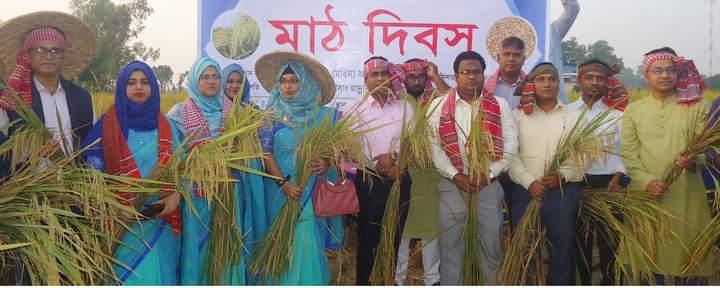 বগুড়ার কাহালুতে মাঠ দিবস উপলক্ষে শস্য কর্তন ও নবান্ন উৎসব অনুষ্ঠিত