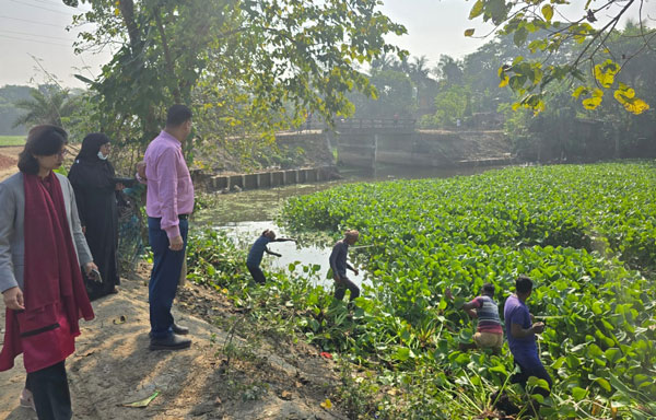 ৫০ বছর পর বেতনা নদী থেকে কোচুড়িপানা পরিষ্কার করার উদ্যোগ