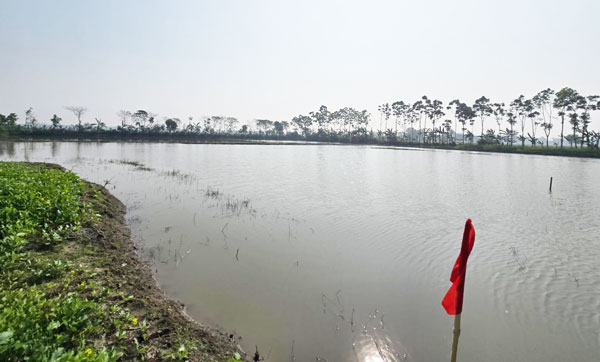 শার্শায় ভূমিদোষ্যুদের কবল থেকে ৩শত বিঘা খাস জমি ১৬ বছর পর উদ্ধার