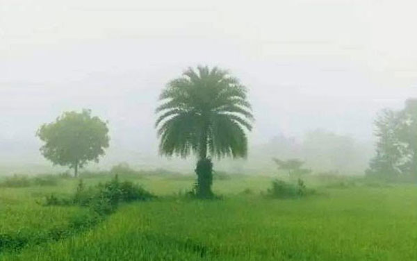 রাজশাহীর বাঘায় জেঁকে বসেছে শীত-কষ্ট পাচ্ছেন নিম্ন আয়ের মানুষ 