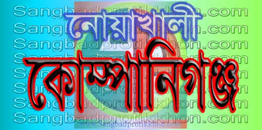 কোম্পানীগঞ্জে ট্রাক্টর উল্টে চালক নিহত