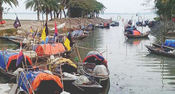 আশানারূপ মাছ না পেয়ে হতাশ পটুয়াখালীর জেলে ও মৎস্য ব্যবসায়ী