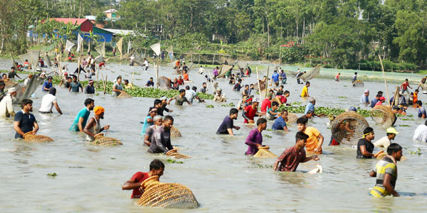 সিলেটের ঐতিহ্যবাহী পলো বাওয়া উৎসব উদযাপিত 