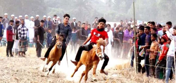 বিরামপুরে ঐতিহ্যবাহি ঘোড়া দৌড় প্রতিযোগিতা অনুষ্ঠিত