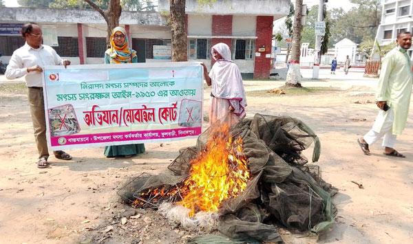 ফুলবাড়ীতে মোবাইল কোট অভিযান চালিয়ে অবৈধ্য জাল ধ্বংস