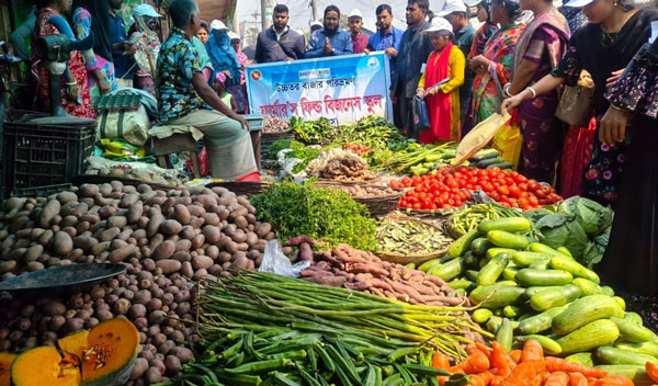 বিরলে ফার্মাস ফিল্ড বিজনেস স্কুল কর্তৃক উচ্চতর বাজার পরিভ্রমন