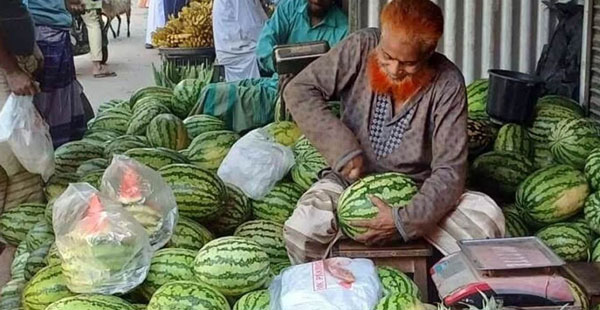 রমজানে সিরাজগঞ্জে কদর বেড়েছে আগাম তরমুজের