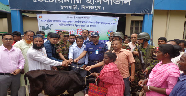 ফুলবাড়ীতে প্রাণী সম্পদ বিভাগের ক্ষুদ্র নৃ-গোষ্ঠীর মাঝে বকনা গরু বিতরণ ফুলবাড়ীতে প্রাণী সম্পদ বিভাগের ক্ষুদ্র নৃ-গোষ্ঠীর মাঝে বকনা গরু বিতরণ