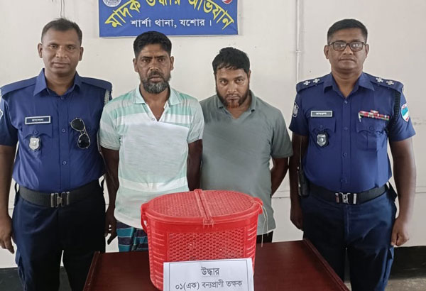 যশোরের শার্শায় তক্ষক সাপসহ দু’পাচারকারী আটক যশোরের শার্শায় তক্ষক সাপসহ দু’পাচারকারী আটক