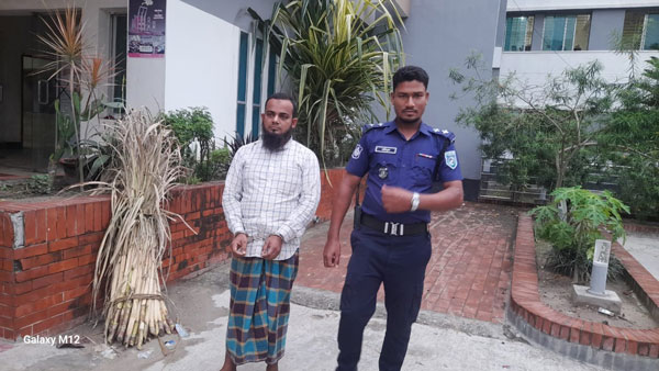 গাইবান্ধার গোবিন্দগঞ্জে ৪ বছরের শিশু ধর্ষণের অভিযোগে যুবককে গ্রেফতার গাইবান্ধার গোবিন্দগঞ্জে ৪ বছরের শিশু ধর্ষণের অভিযোগে যুবককে গ্রেফতার