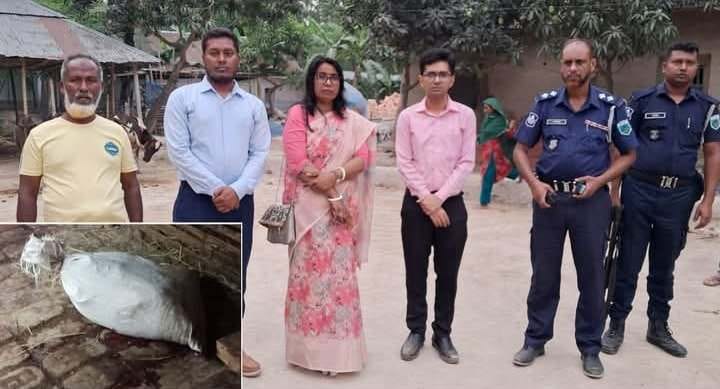 বগুড়ার নন্দীগ্রামে অসুস্থ গরুর মাংস বিক্রি দায়ে মাংস জব্দ সহ ভ্রাম্যমাণ আদালতে জরিমানা।।