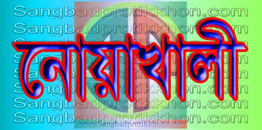 নোয়াখালীতে পুকুরে ডুবে ভাই-বোনের মৃত্যু