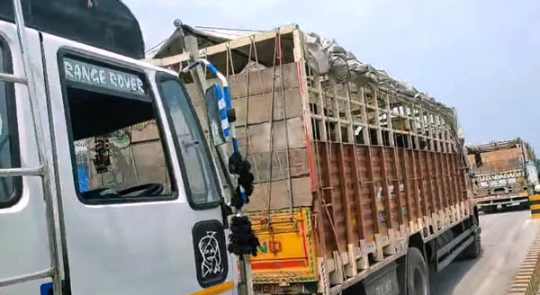 বাছুরসহ ৯৫ মহিষ শুল্ক ছাড়াই ভারত থেকে বেনাপোলে এলো